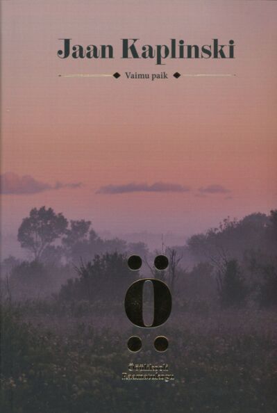 Vaimu paik