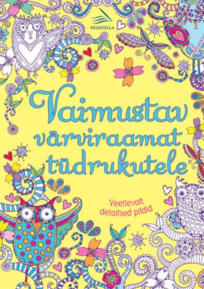 Vaimustav värviraamat tüdrukutele